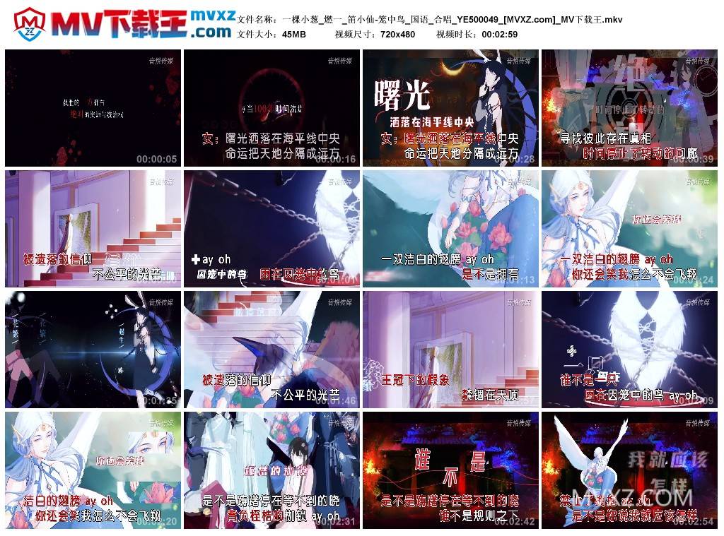 一棵小葱_燃一_笛小仙-笼中鸟_国语_合唱_YE500049